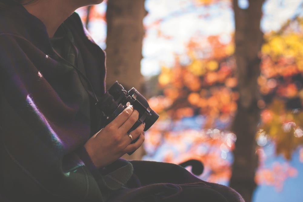 Nature watching with binoculars
